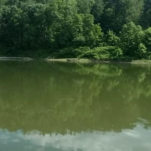 Meet your Posher, Greg